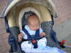 Sleepy Max at the zoo.
