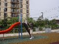 Climbing the slide at the boardwalk.