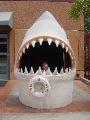 Getting eaten by the giant shark head at the Scripps Birch Aquarium