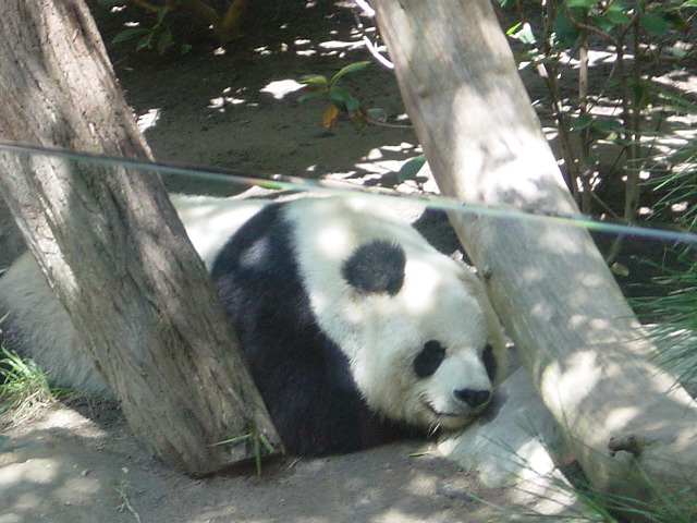 Close-up Front View