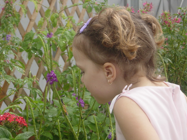 Blowing on the butterfly.