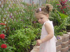 Skeptically examining a butterfly.