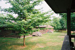 A view of some other cabins from our porch.