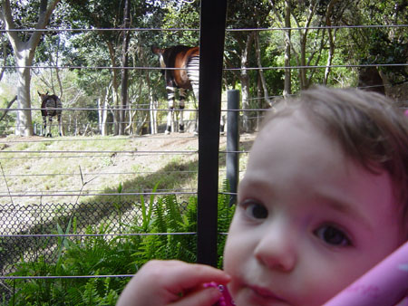 DSC01808